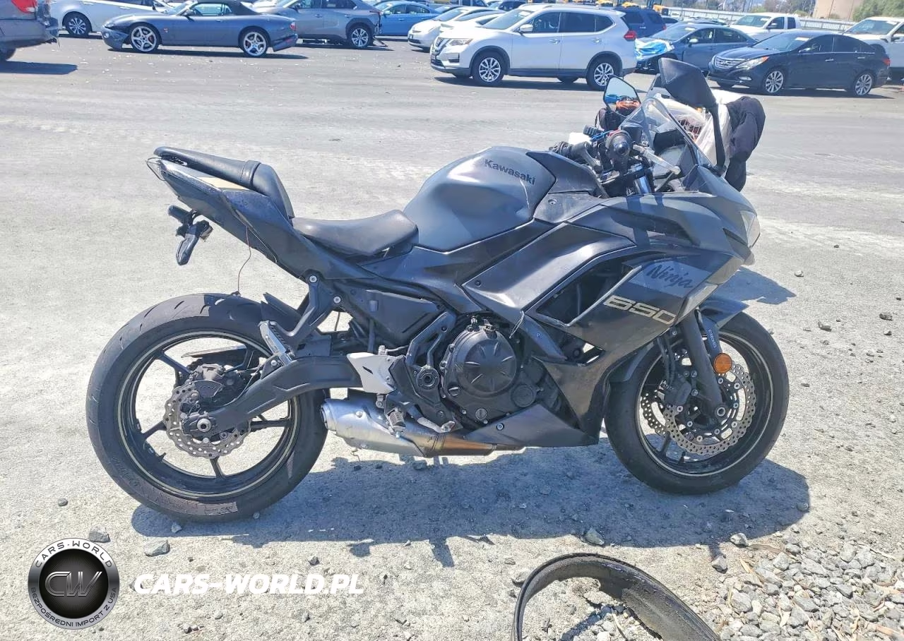 2024 Kawasaki Ex650 P