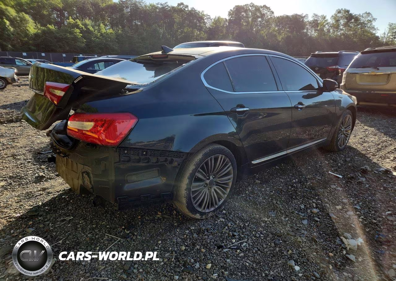 2014 Kia Cadenza Limited VIN:KNALN4D75E5167121 - 3