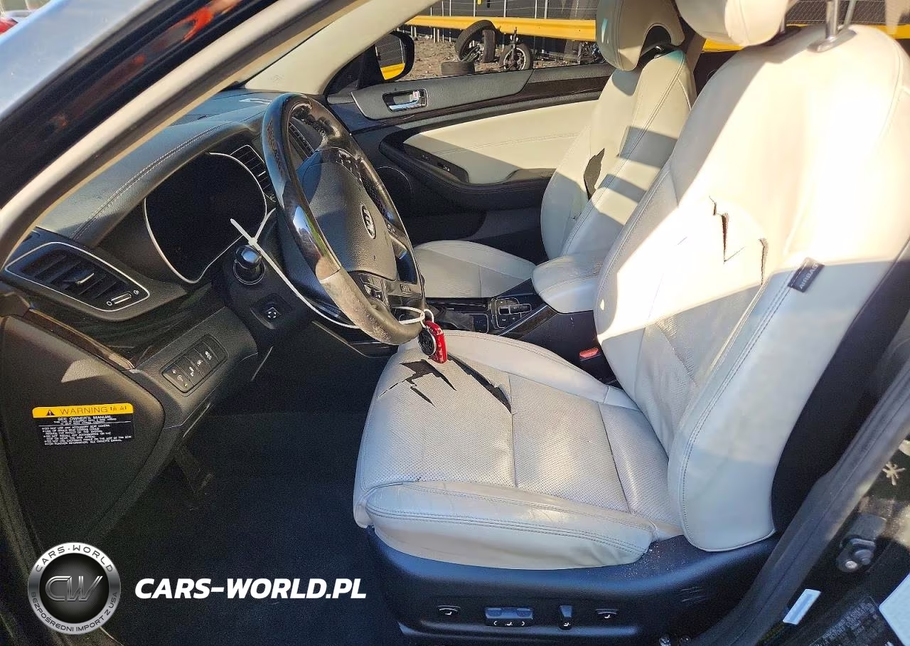 2014 Kia Cadenza Limited VIN:KNALN4D75E5167121 - 7