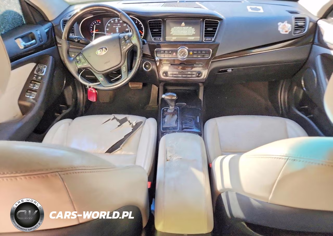 2014 Kia Cadenza Limited VIN:KNALN4D75E5167121 - 8