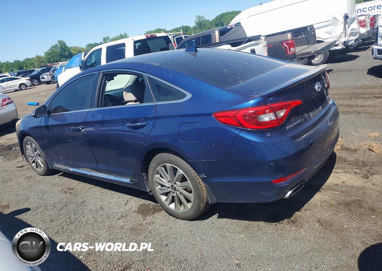 2016 Hyundai Sonata Sport VIN:5NPE34AFXGH273998 - 2