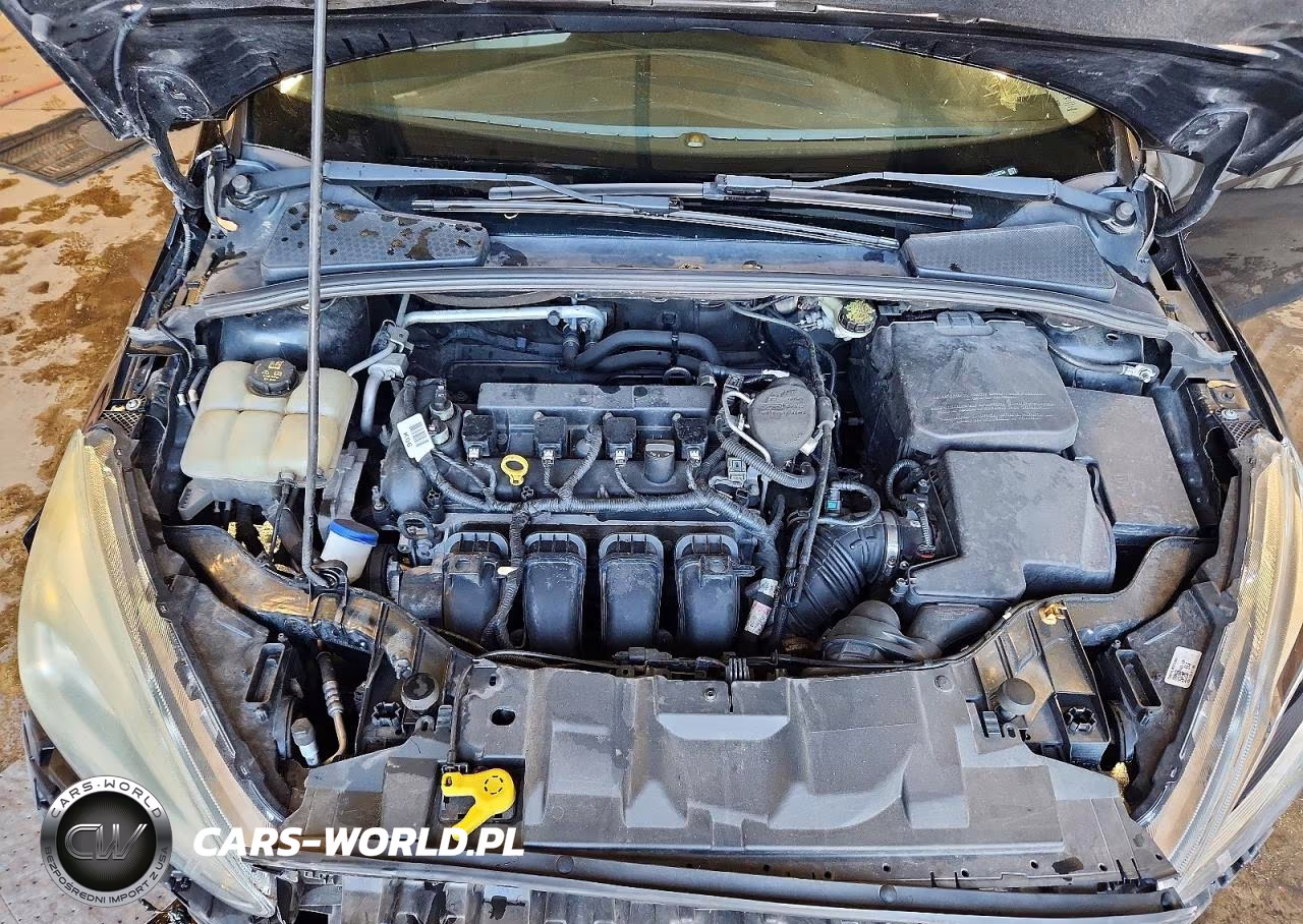 2015 Ford Focus Titanium VIN:1FADP3N27FL208754 - 11