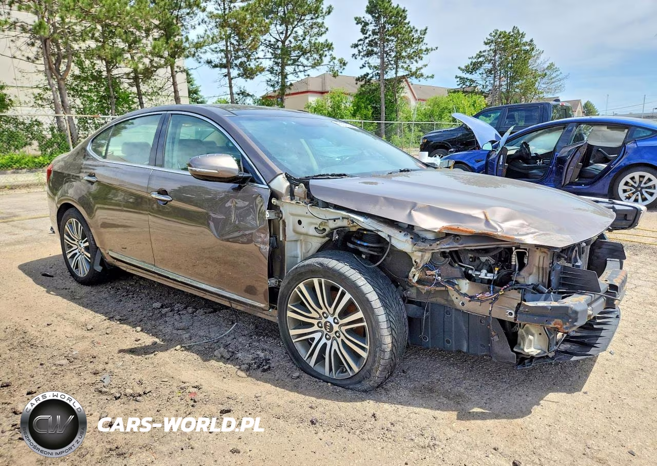 2014 Kia Cadenza Premium VIN:KNALN4D79E5166117 - 4