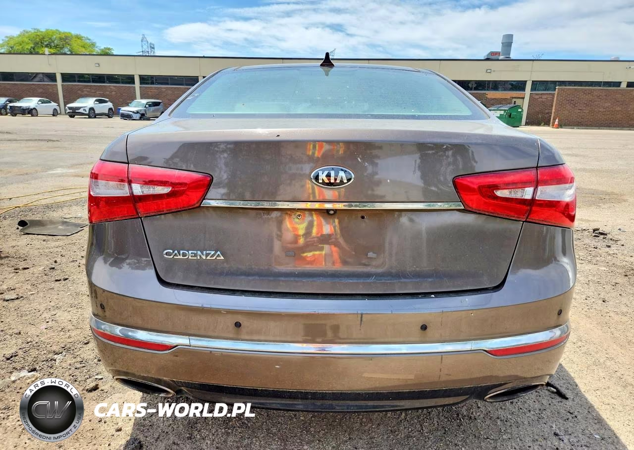 2014 Kia Cadenza Premium VIN:KNALN4D79E5166117 - 6