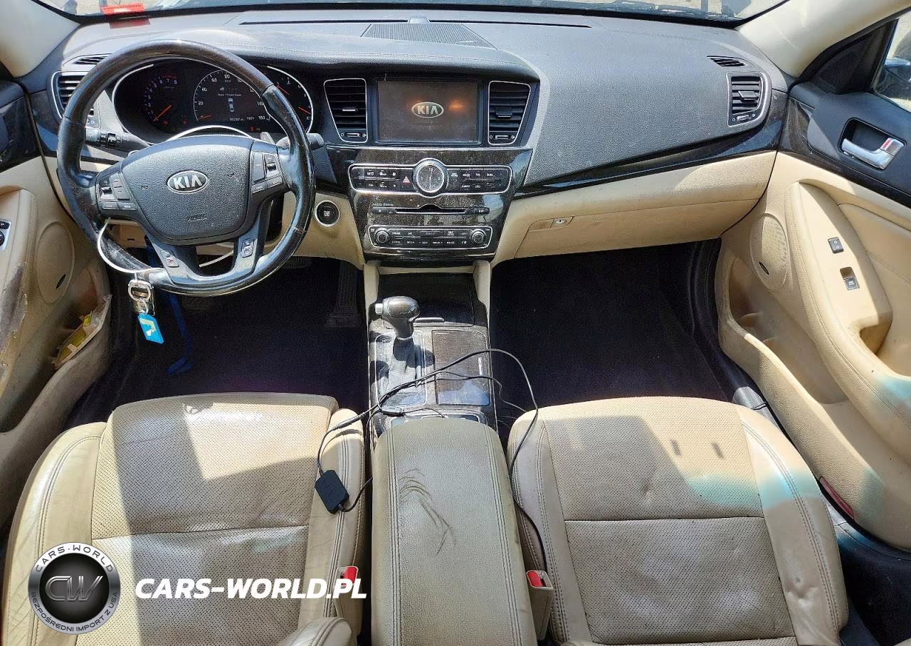 2014 Kia Cadenza Premium VIN:KNALN4D79E5166117 - 8