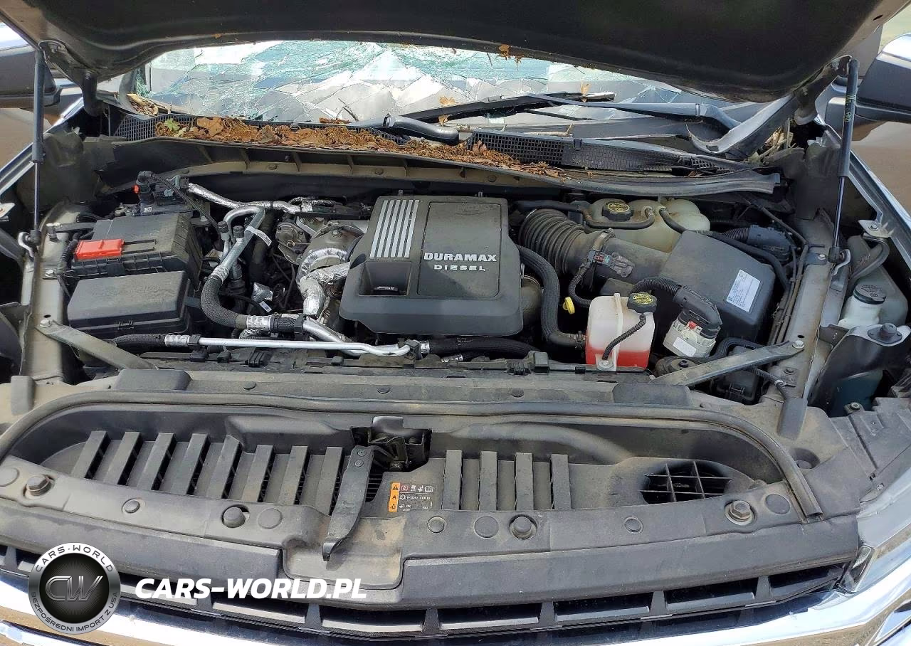 2021 Chevrolet Silverado K1500 Lt VIN:3GCUYDETXMG301493 - 11