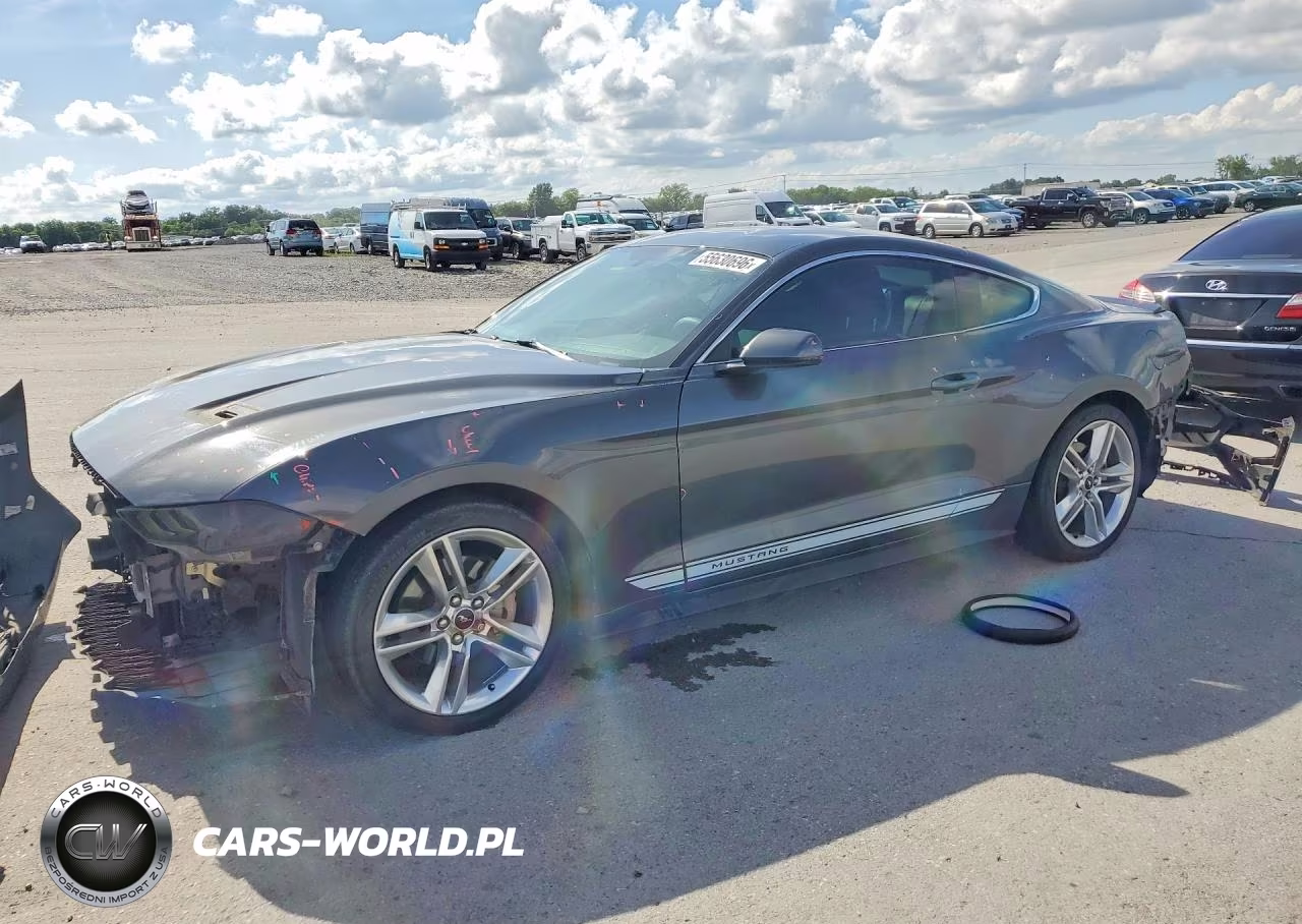 2019 Ford Mustang