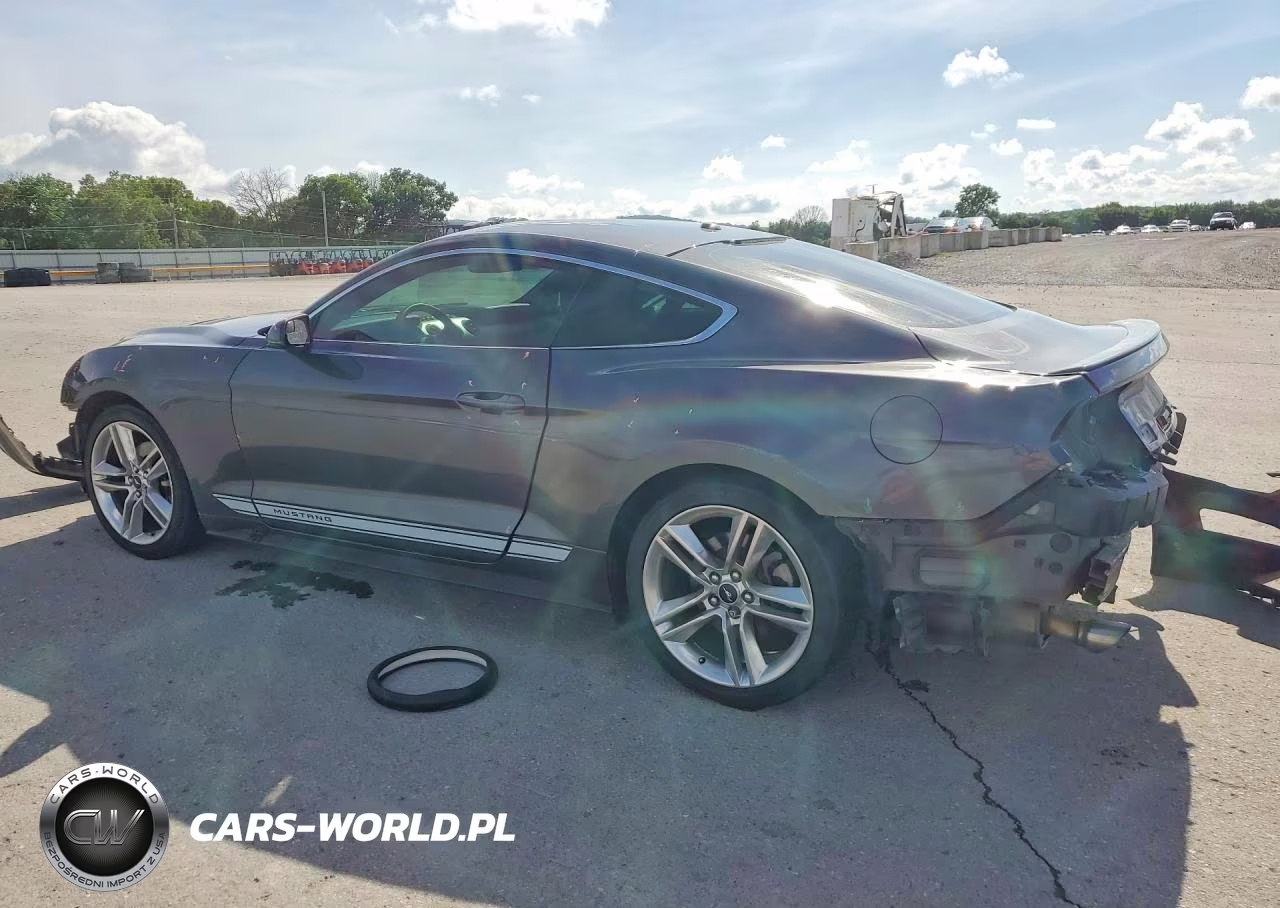 2019 Ford Mustang VIN:1FA6P8TH1K5203190 - 2