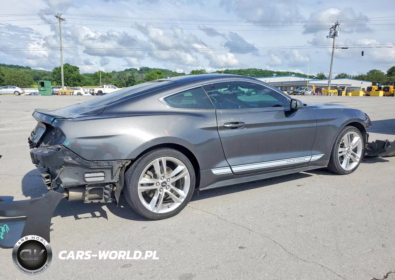 2019 Ford Mustang VIN:1FA6P8TH1K5203190 - 3