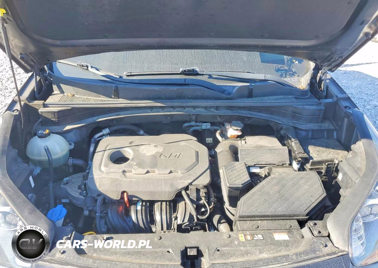 2020 Kia Sportage Lx VIN:KNDPM3AC3L7701561 - 12