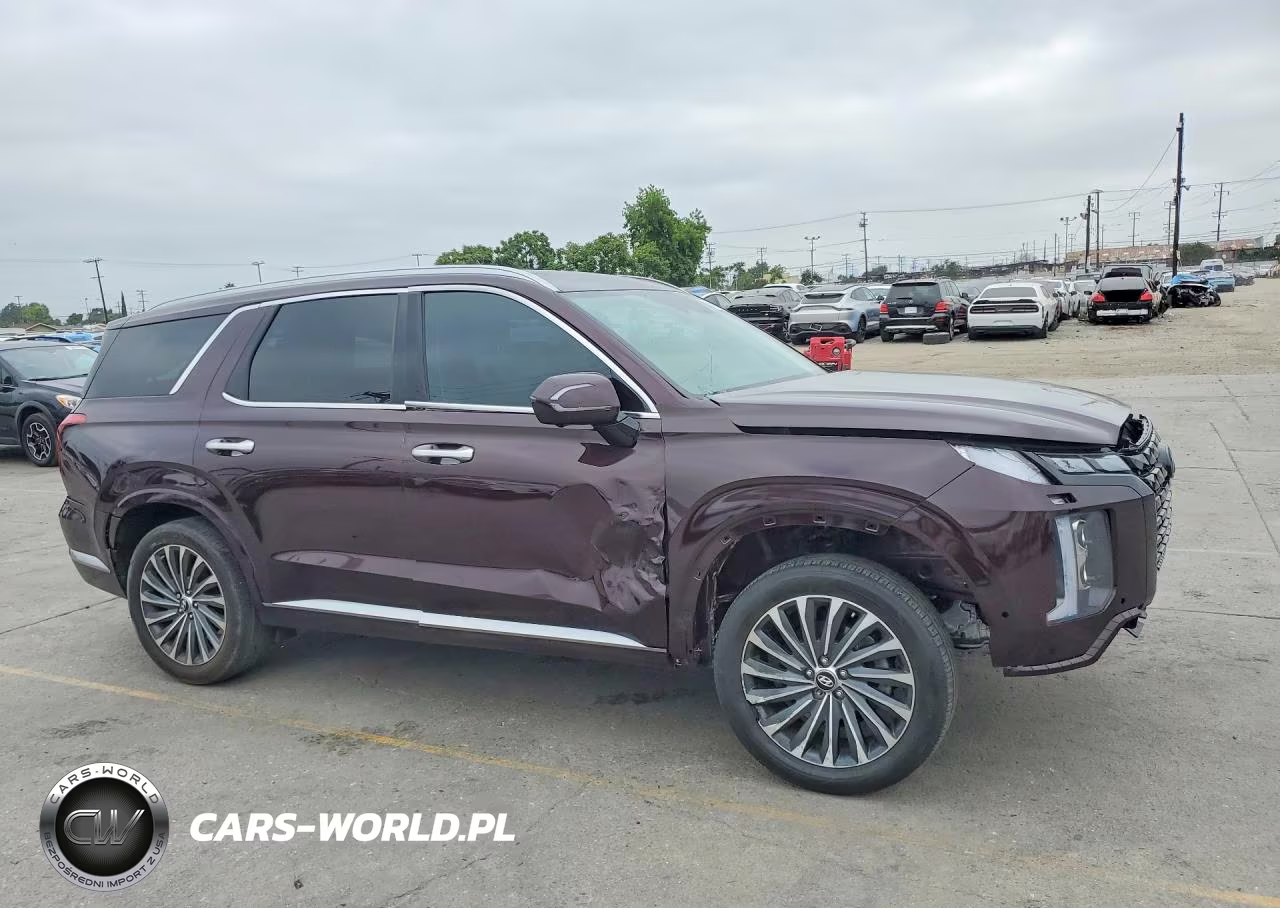 2024 Hyundai Palisade Calligraphy VIN:KM8R74GE4RU730118 - 4