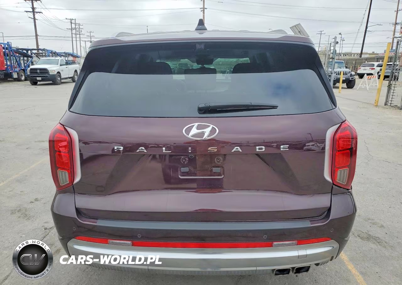 2024 Hyundai Palisade Calligraphy VIN:KM8R74GE4RU730118 - 6