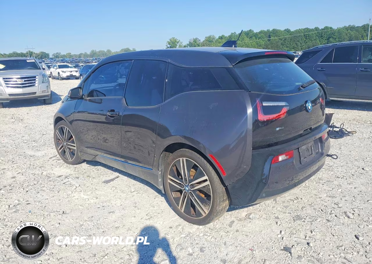 2014 BMW I3 Rex VIN:WBY1Z4C59EV275108 - 2