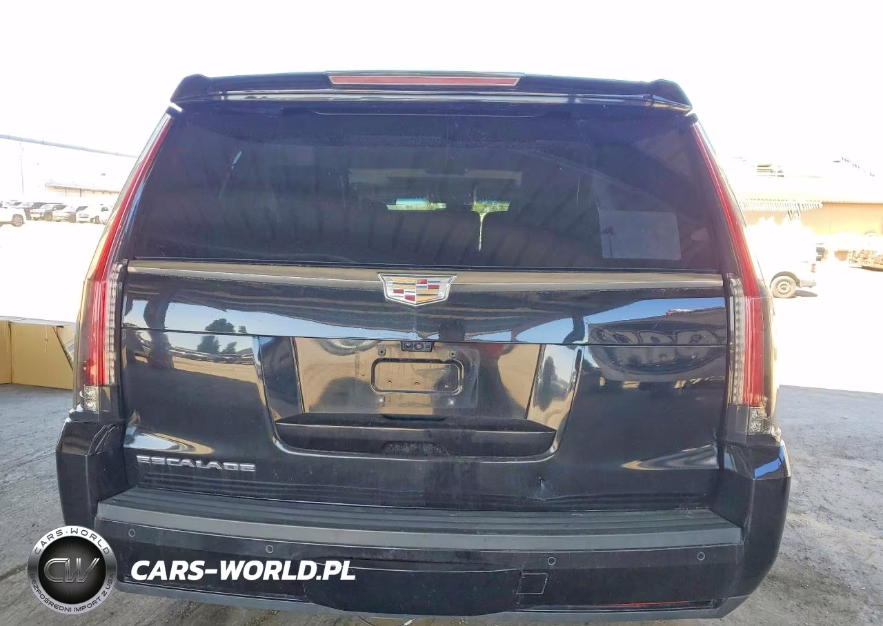 2020 Cadillac Escalade Luxury VIN:1GYS4BKJ2LR107690 - 6