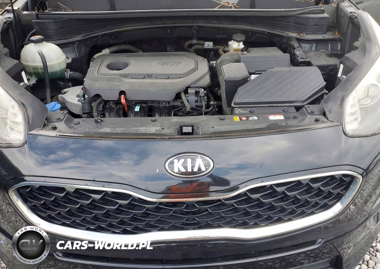 2020 Kia Sportage Lx VIN:KNDPM3AC5L7826657 - 12