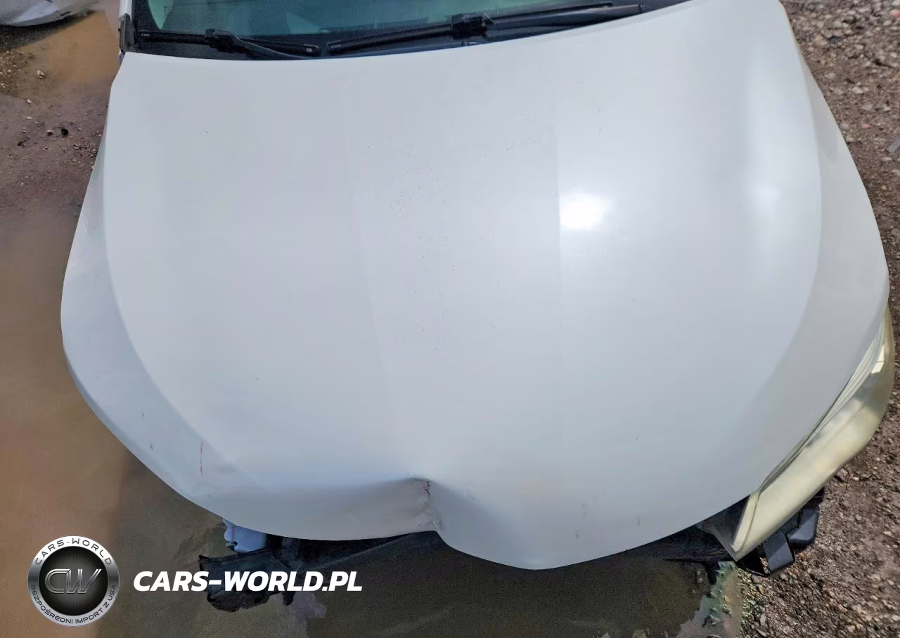 2016 Toyota Camry Hybrid Xle VIN:4T1BD1FK6GU184306 - 11