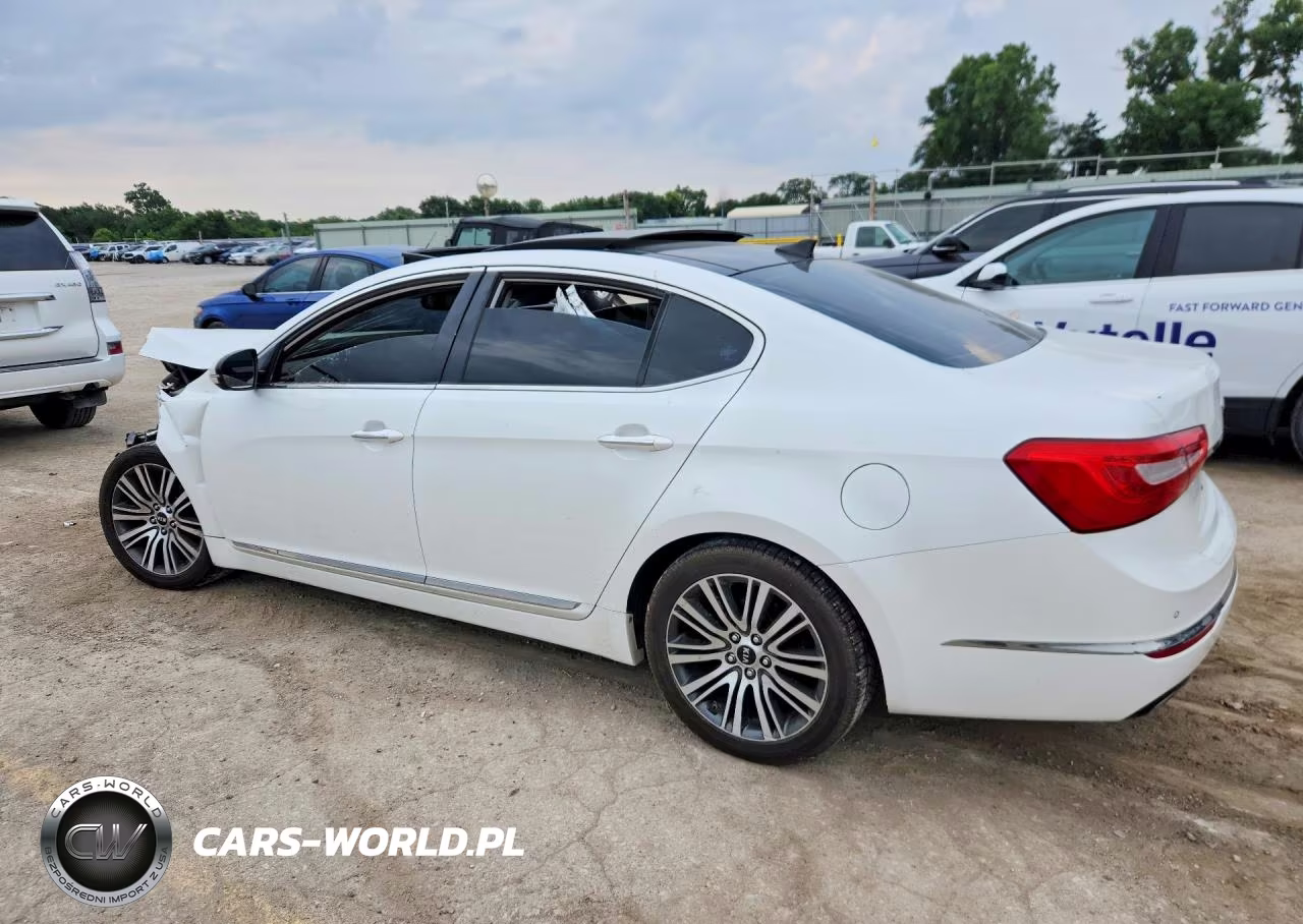 2014 Kia Cadenza VIN:KNALN4D76E5123869 - 2