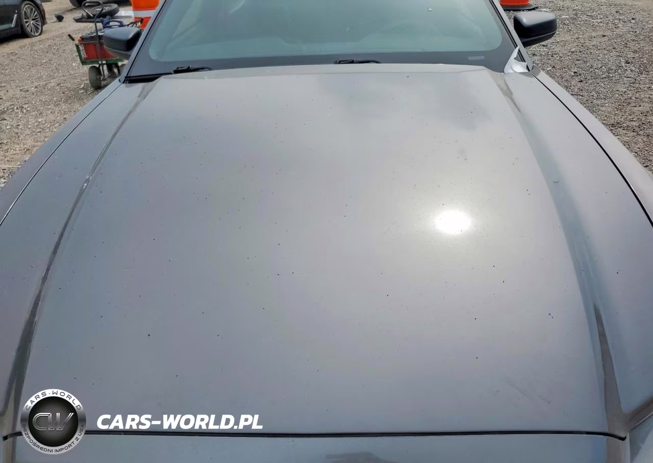 2014 Ford Mustang VIN:1ZVBP8AMXE5277539 - 11