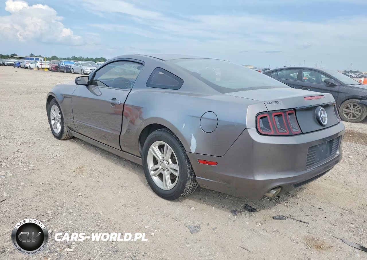 2014 Ford Mustang VIN:1ZVBP8AMXE5277539 - 2