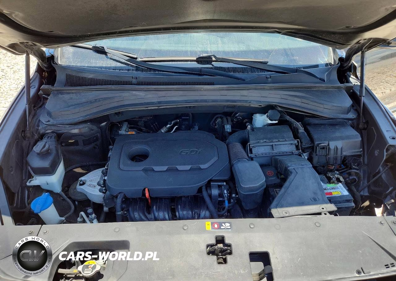 2019 Hyundai Santa Fe Sel Plus 2.4L VIN:5NMS33AD7KH042123 - 12