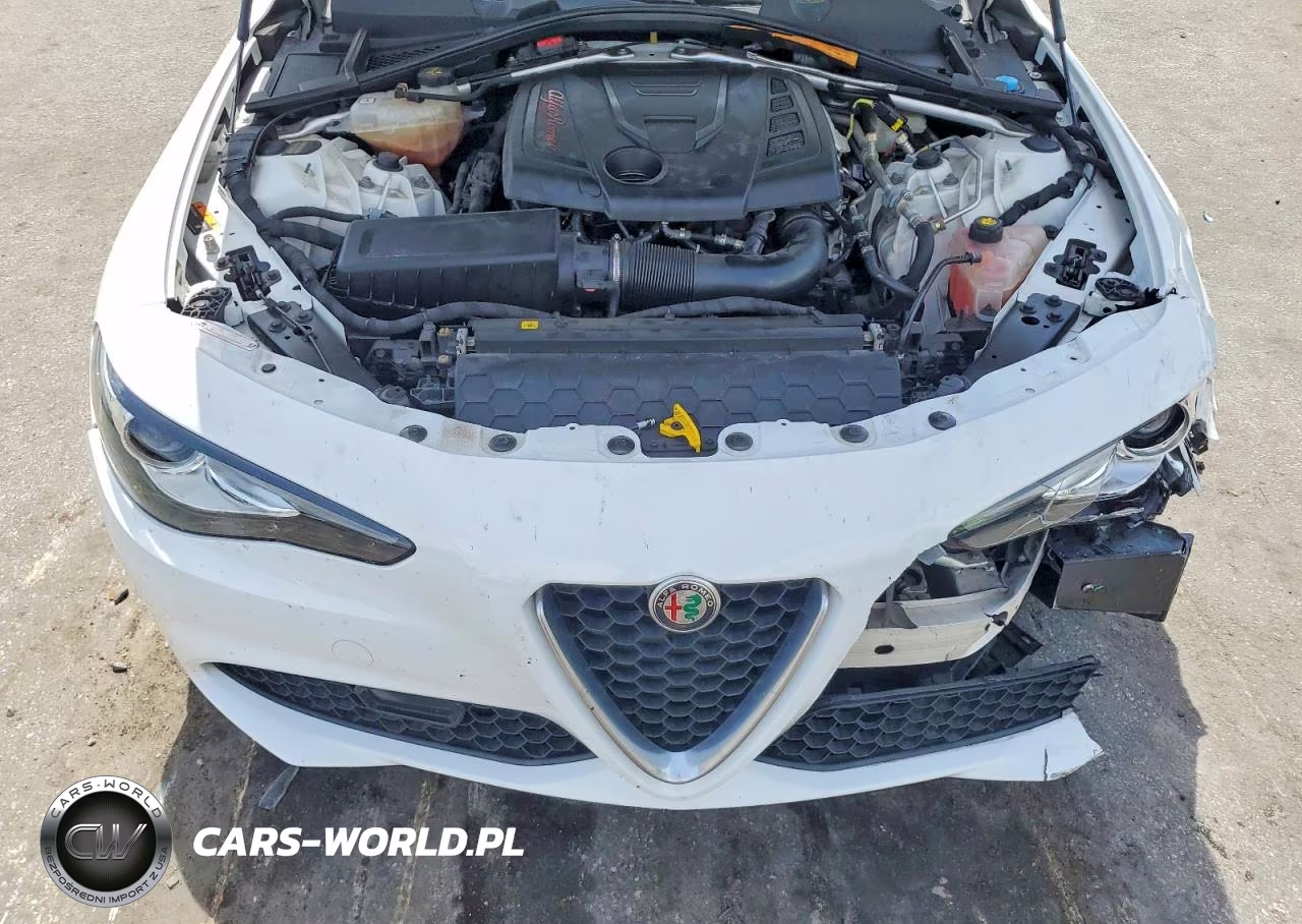 2017 Alfa Romeo Giulia VIN:ZARFAEBN2H7552220 - 11