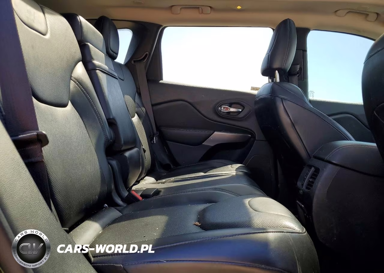 2019 Jeep Cherokee Limited VIN:1C4PJMDN9KD189008 - 11