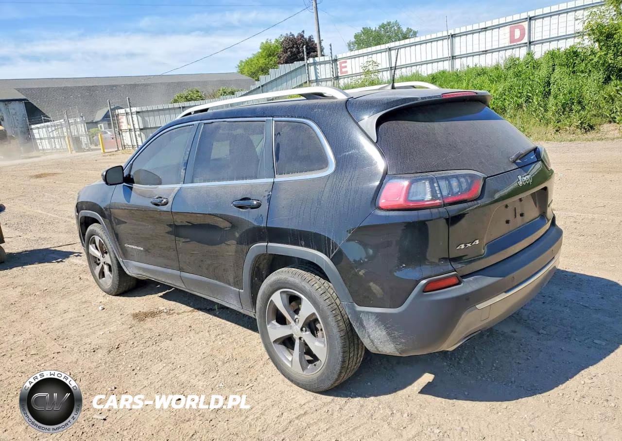 2019 Jeep Cherokee Limited VIN:1C4PJMDN9KD189008 - 2