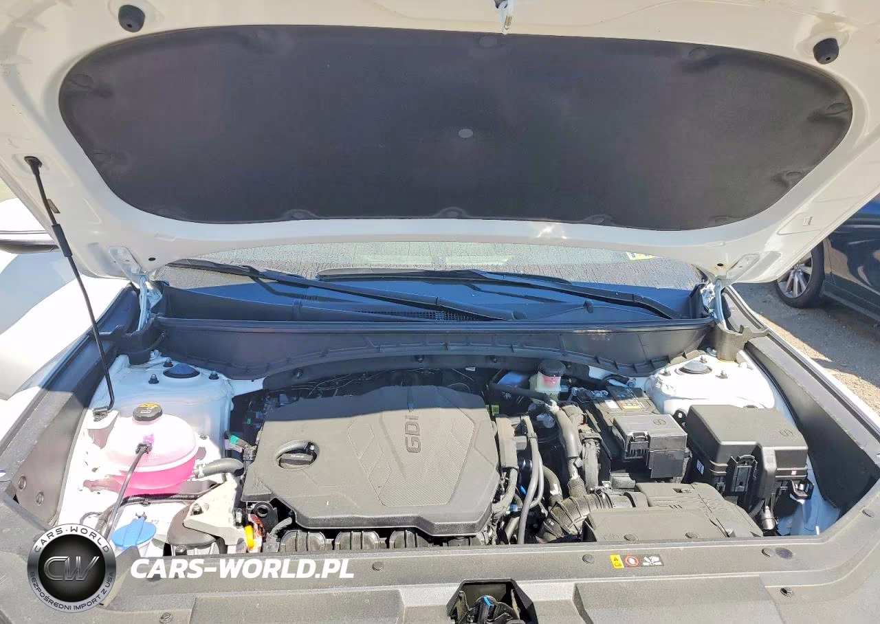 2025 Hyundai Santa Cruz Sel Activity VIN:5NTJCDDE8SH152575 - 11