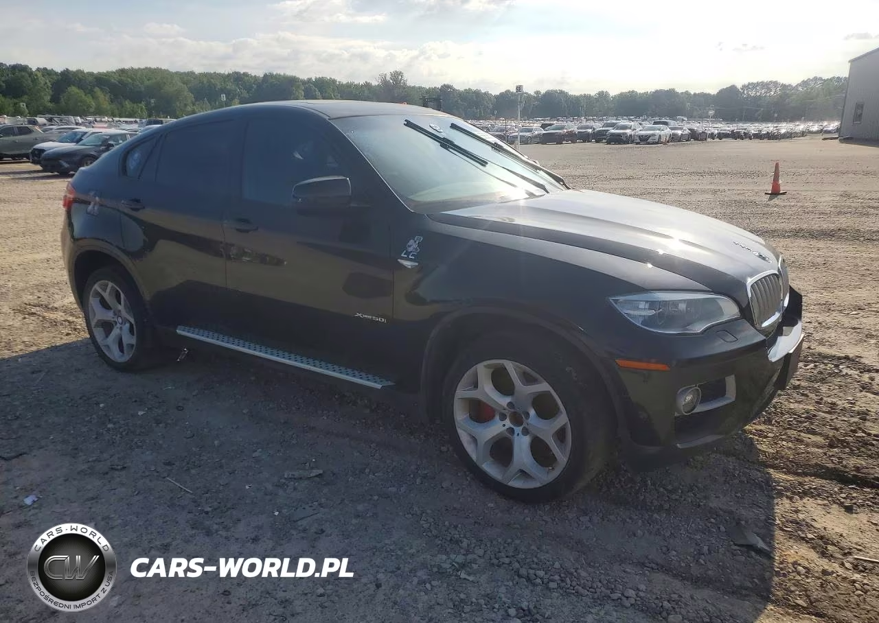 2014 BMW X6 xDrive50I VIN:5UXFG8C52EL593120 - 4