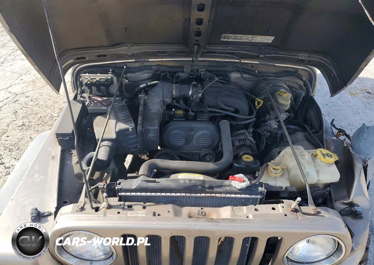 2003 Jeep Wrangler - Tj Se VIN:1J4FA29153P325361 - 11