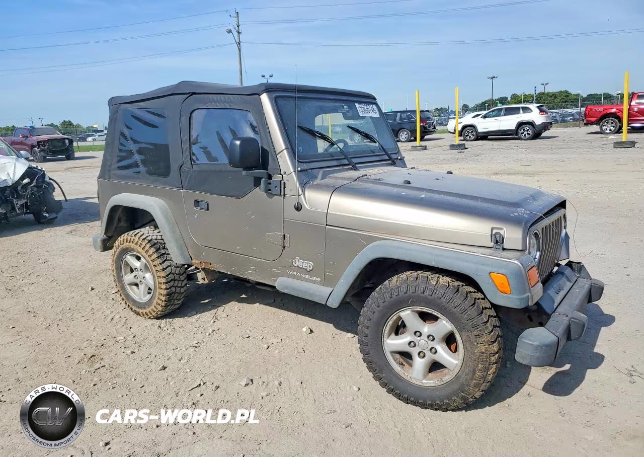 2003 Jeep Wrangler - Tj Se VIN:1J4FA29153P325361 - 4