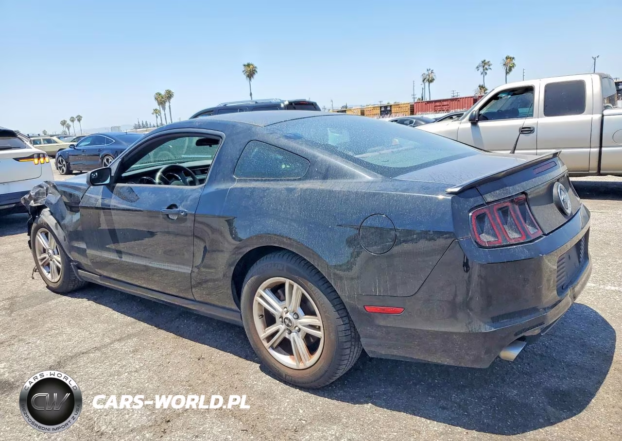 2013 Ford Mustang VIN:1ZVBP8AM8D5282401 - 2