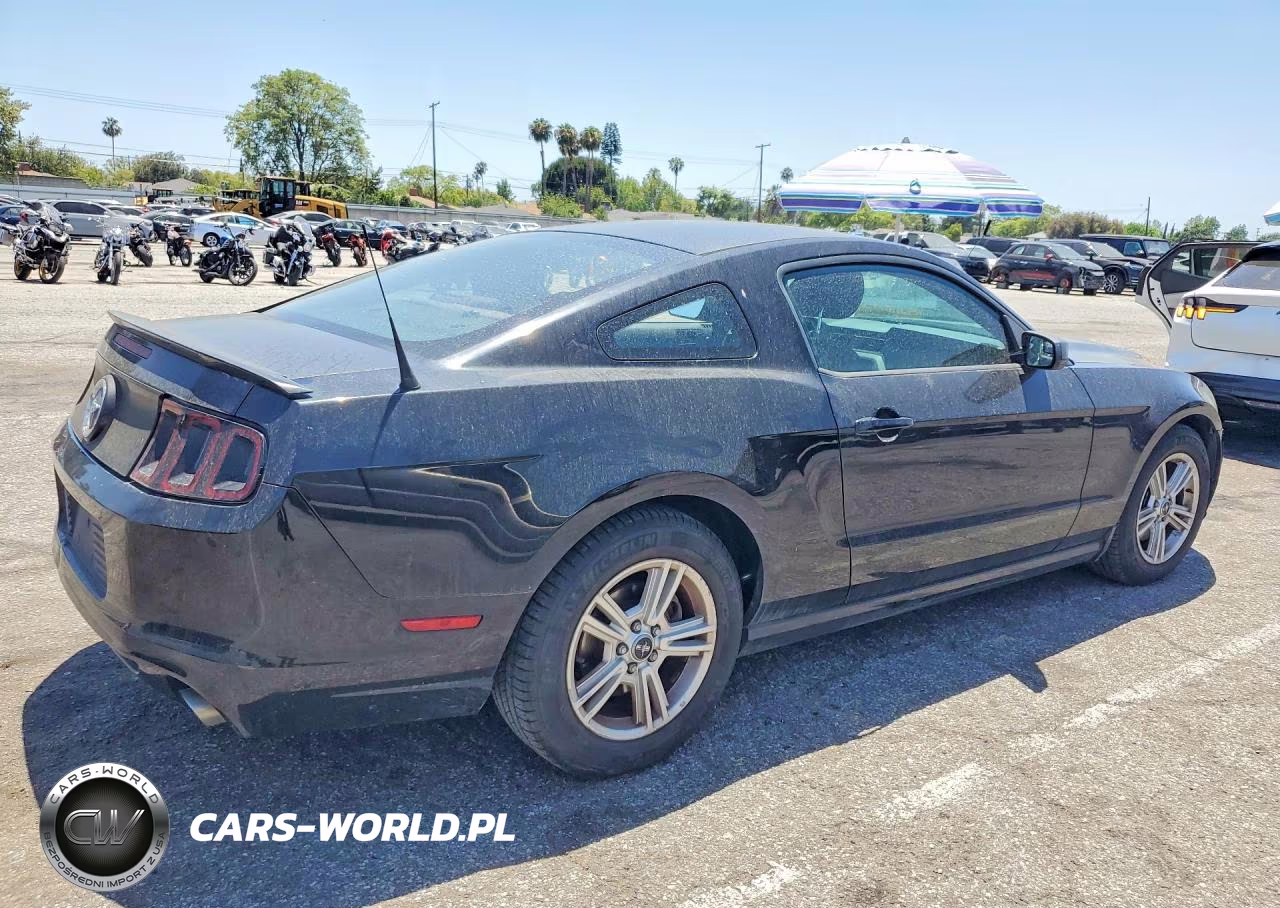 2013 Ford Mustang VIN:1ZVBP8AM8D5282401 - 3