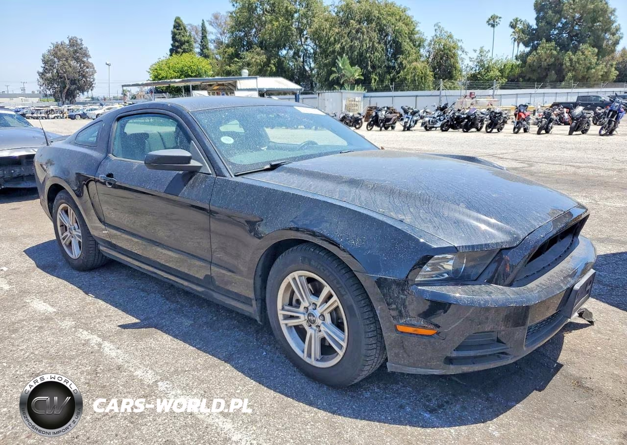 2013 Ford Mustang VIN:1ZVBP8AM8D5282401 - 4