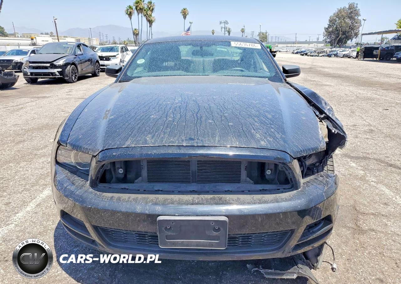 2013 Ford Mustang VIN:1ZVBP8AM8D5282401 - 5