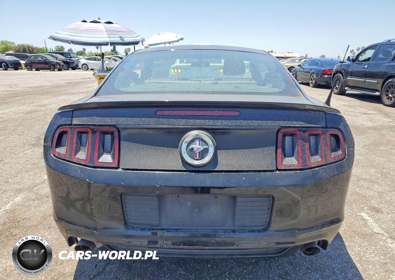 2013 Ford Mustang VIN:1ZVBP8AM8D5282401 - 6