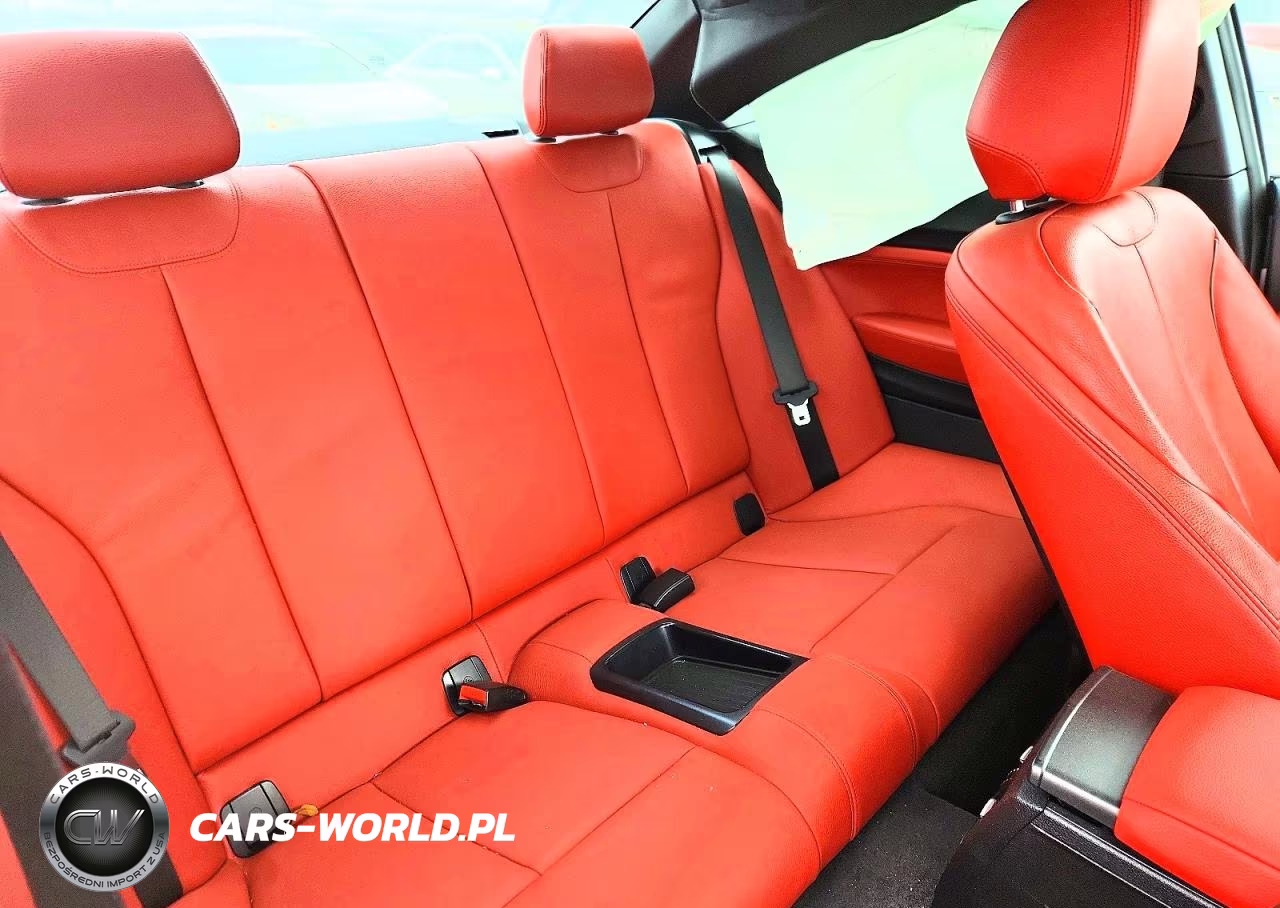 2017 BMW 230I VIN:WBA2F9C31HV664871 - 10