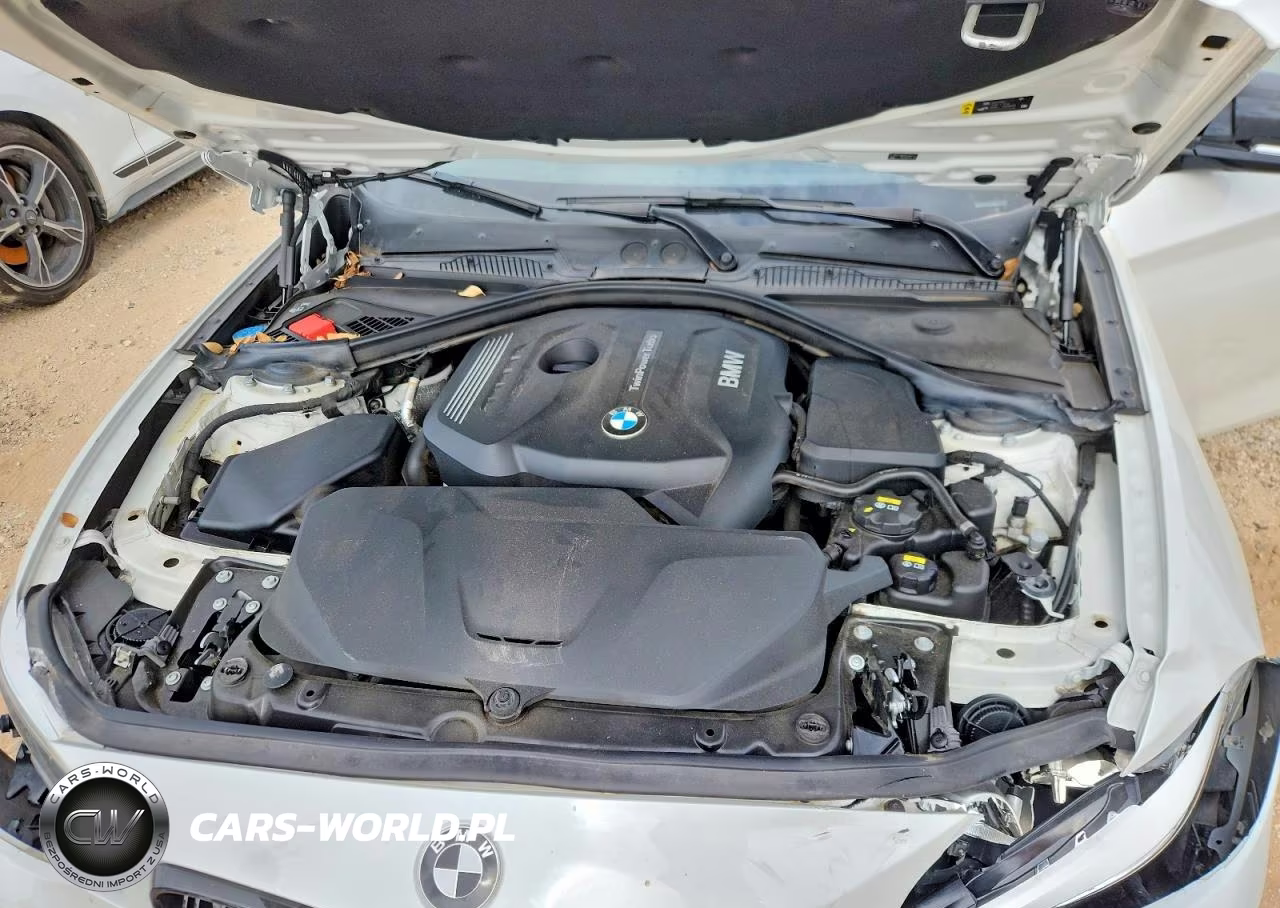 2017 BMW 230I VIN:WBA2F9C31HV664871 - 11