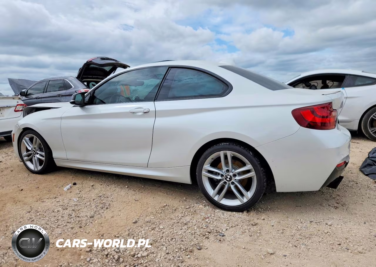 2017 BMW 230I VIN:WBA2F9C31HV664871 - 2