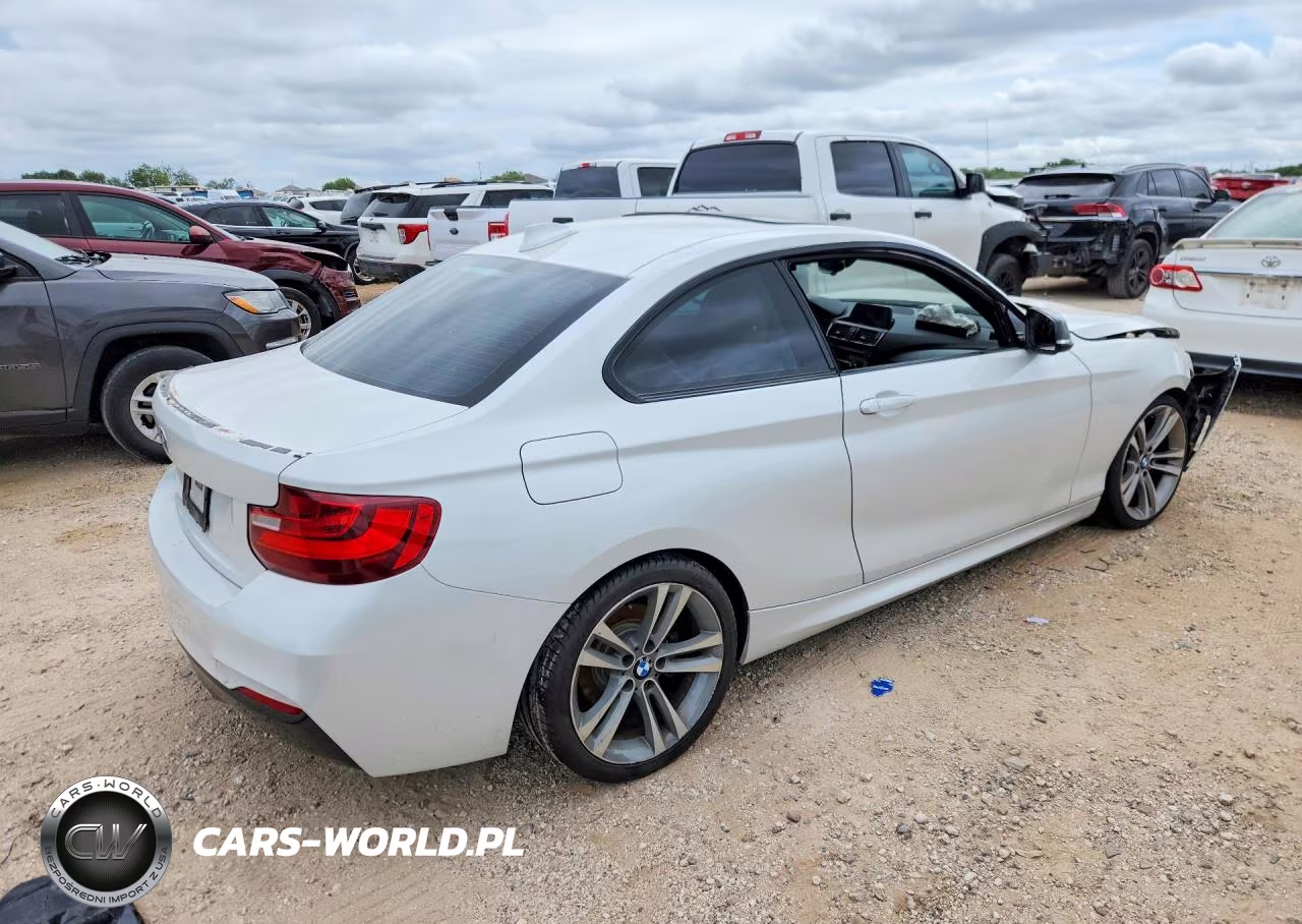 2017 BMW 230I VIN:WBA2F9C31HV664871 - 3