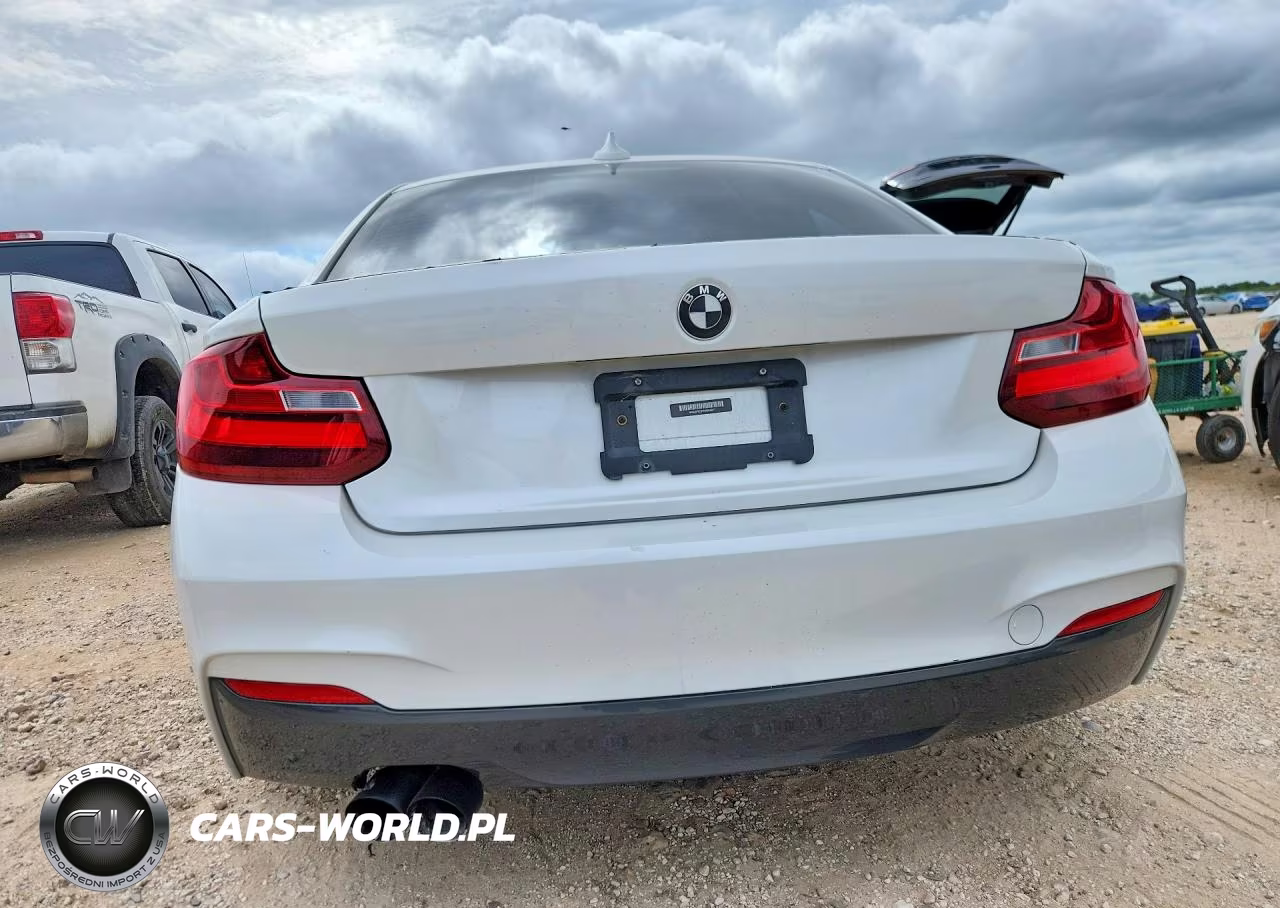 2017 BMW 230I VIN:WBA2F9C31HV664871 - 6