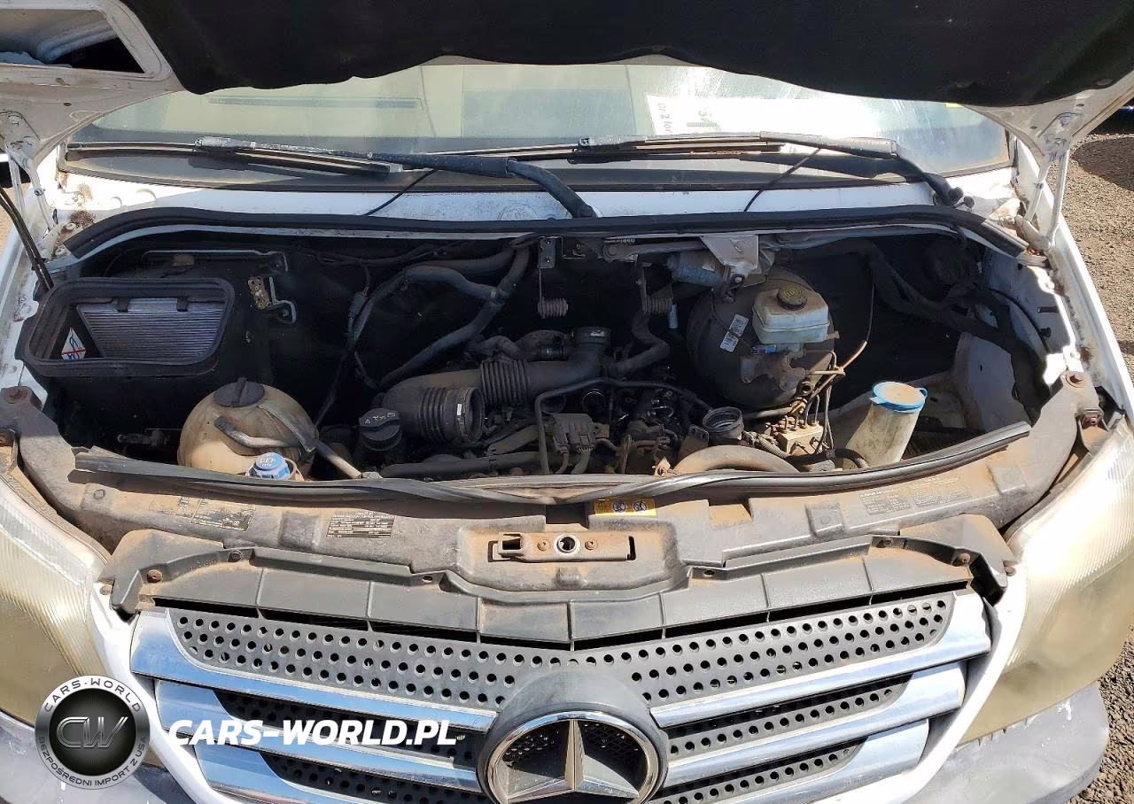 2014 Mercedes Benz Sprinter VIN:WDZPE8CC0E5878851 - 12