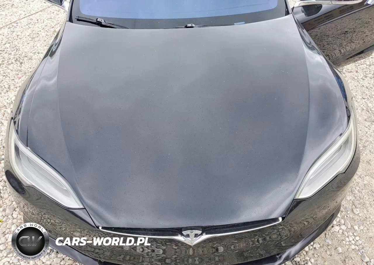 2017 Tesla Model S VIN:5YJSA1E25HF222326 - 11