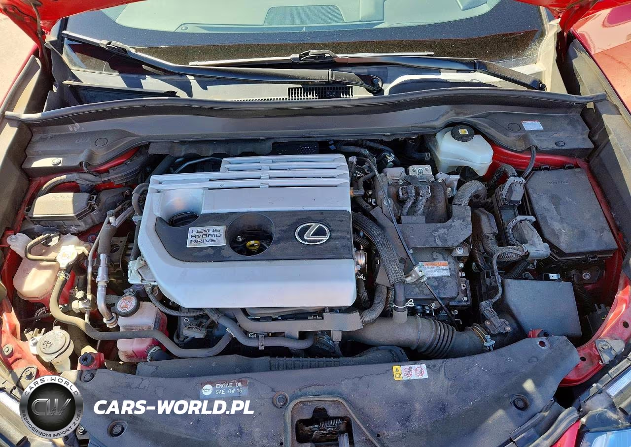 2020 Lexus Ux 250H VIN:JTHX9JBH5L2035444 - 11