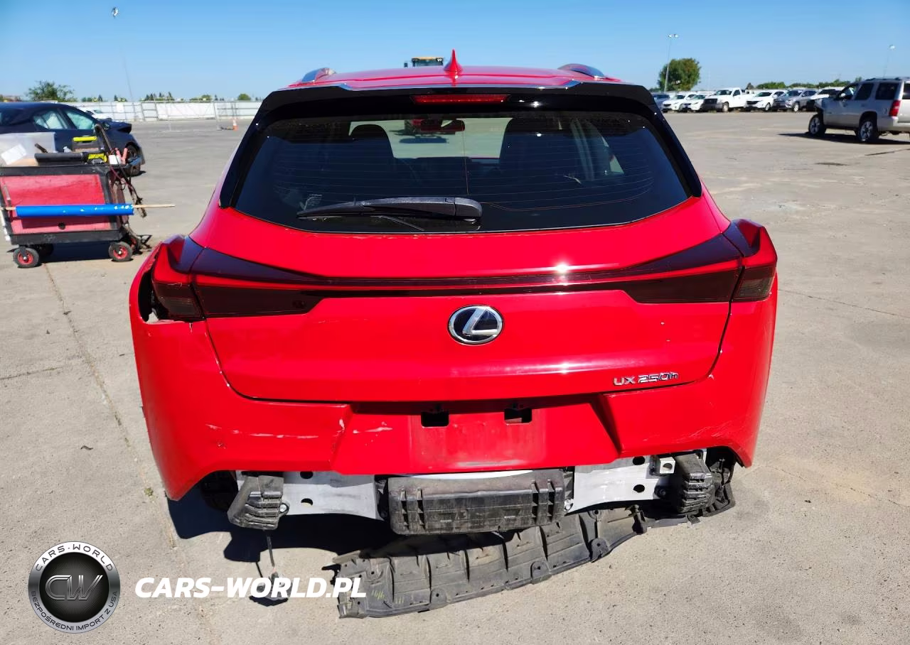 2020 Lexus Ux 250H VIN:JTHX9JBH5L2035444 - 6