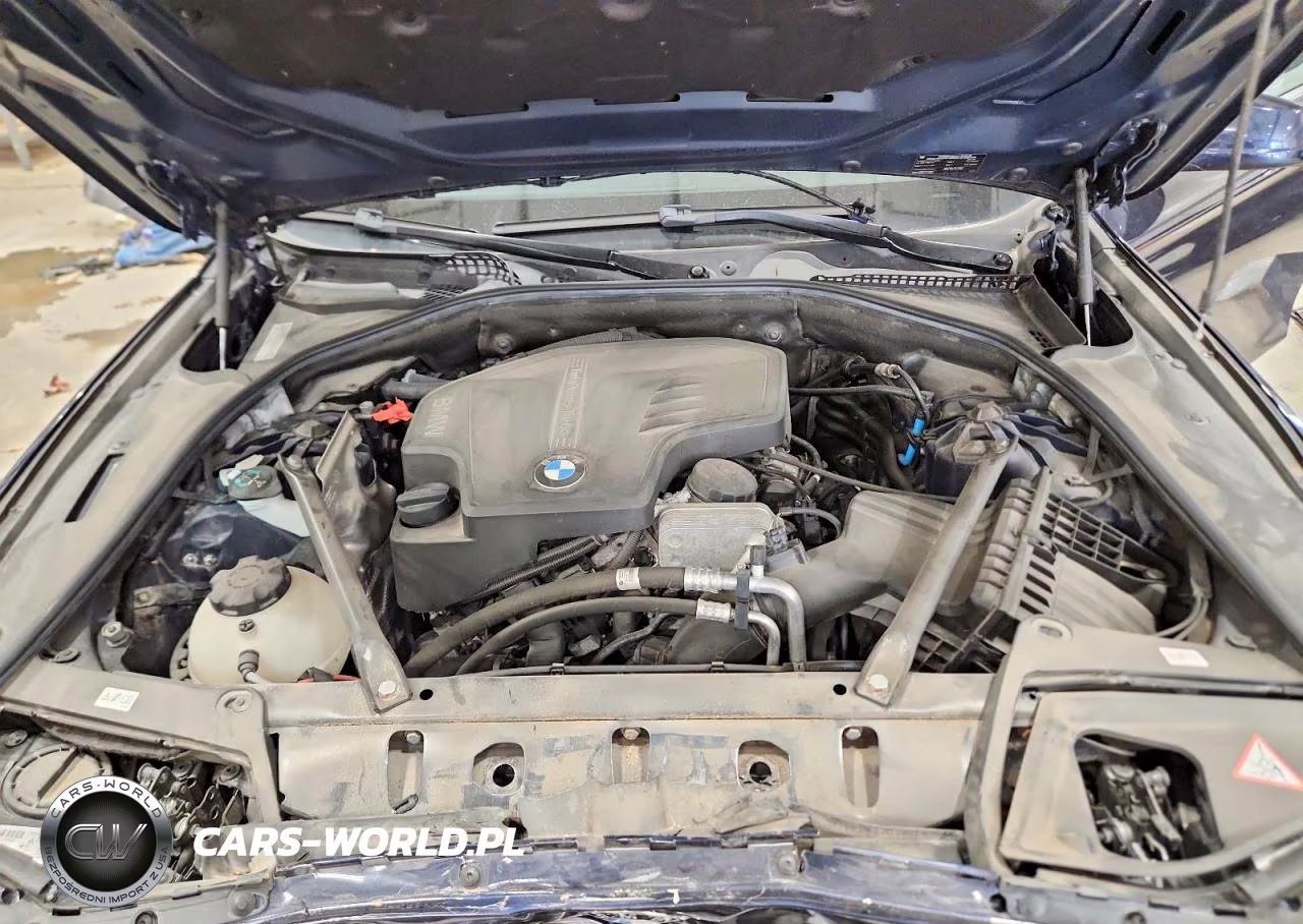2012 BMW 528 Xi VIN:WBAXH5C54CDW03913 - 11