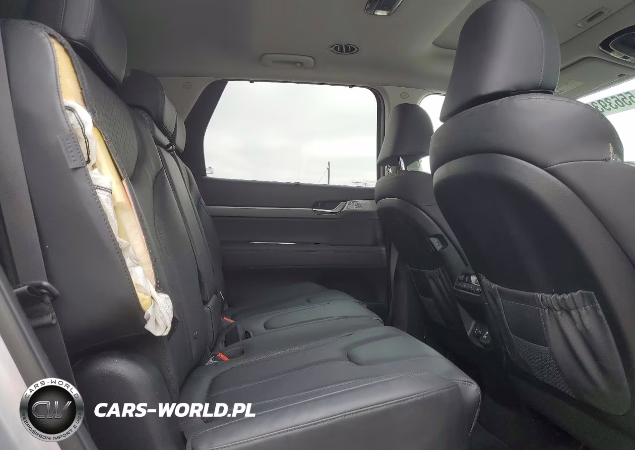 2023 Hyundai Palisade Sel VIN:KM8R44GE0PU566808 - 11
