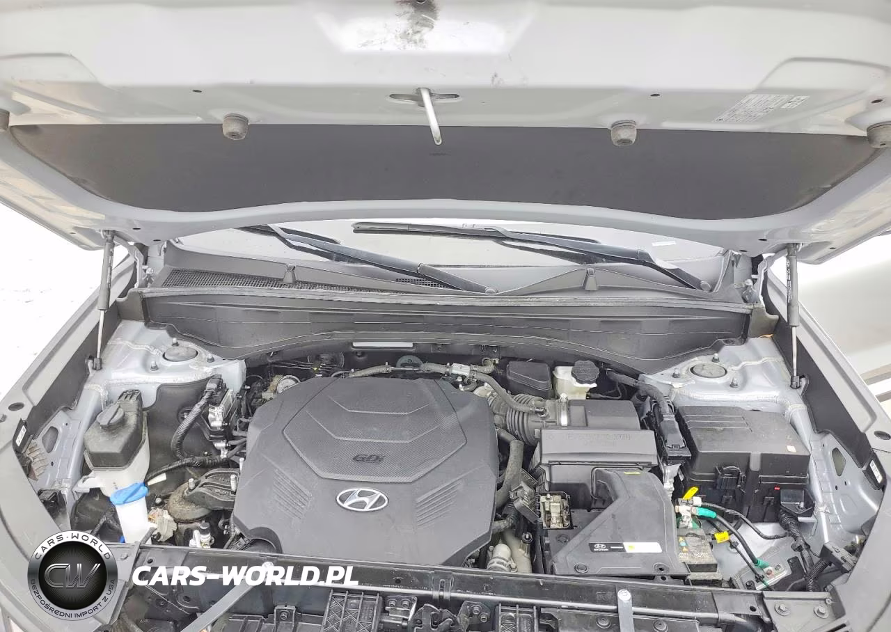 2023 Hyundai Palisade Sel VIN:KM8R44GE0PU566808 - 12