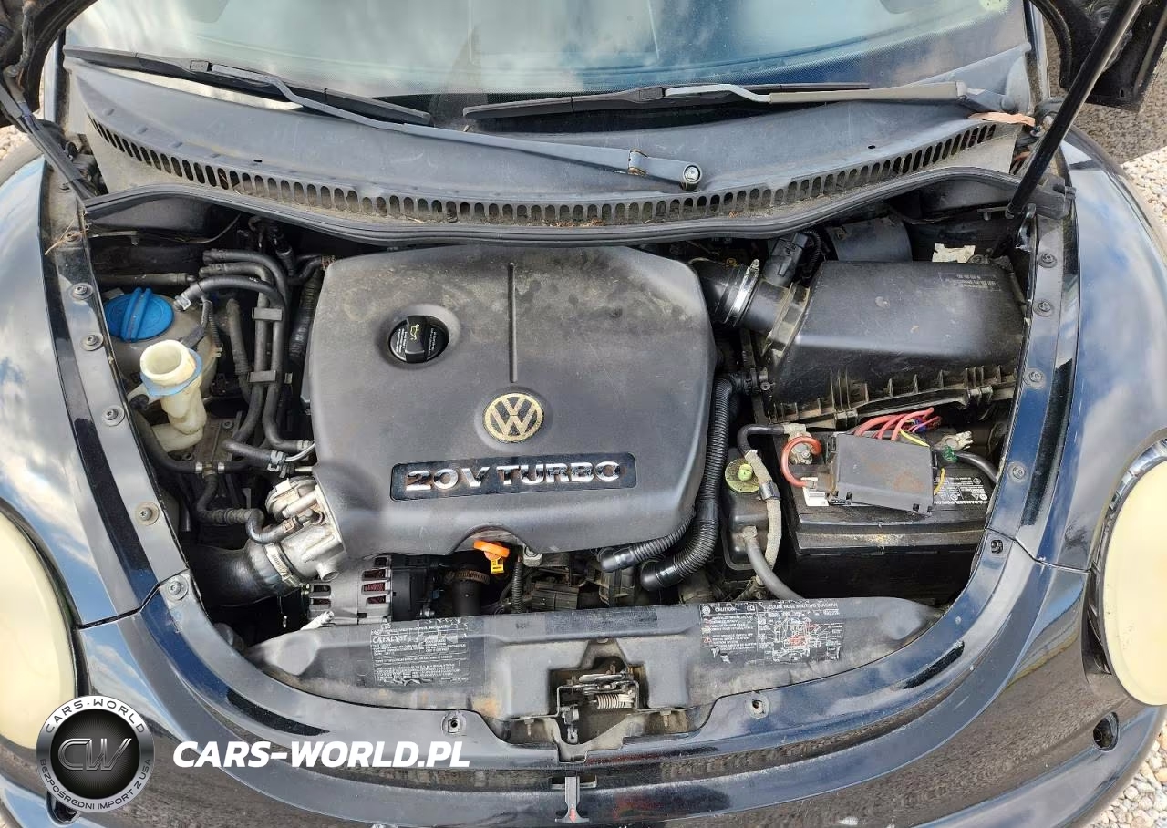 2005 Volkswagen New Beetle Gls VIN:3VWCD31C65M402974 - 11