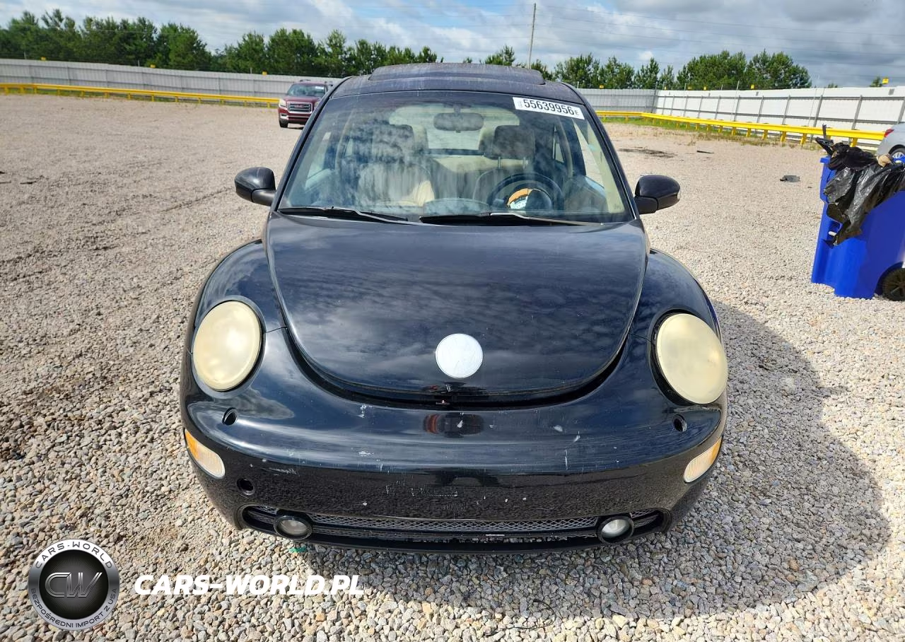 2005 Volkswagen New Beetle Gls VIN:3VWCD31C65M402974 - 5